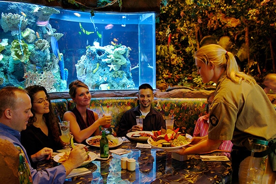 Rainforest Cafe Niagara Falls